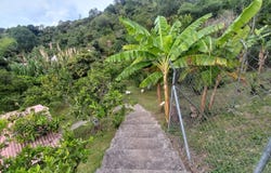 VEREDA EL BARRO GIRARDOTA, Girardota, Antioquia 051038