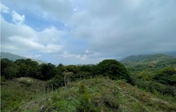 Minca, Magdalena, Magdalena 470008
