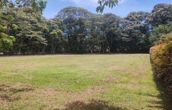 HARAS DE SANTA LUCIA, Rionegro, Antioquia