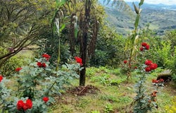 Peñol, Antioquia, Colombia, Peñol, Antioquia 053857