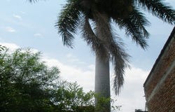 San Cayetano, Cali, Valle del Cauca, Colombia, Cali, Valle del Cauca