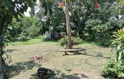 Cra. 118, Villa Fatima, Cali, Valle del Cauca, Colombia, Cali, Valle del Cauca 760030