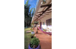 Felidia, Cali, Valle del Cauca, Colombia, Cali, Valle del Cauca 760009