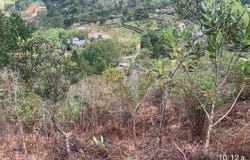 Carrera 46, Medellín, Antioquia 050012