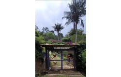 Felidia, Cali, Valle del Cauca, Colombia, Cali, Valle del Cauca 760009