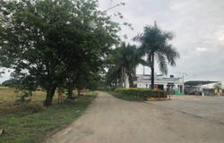 Rozo, Palmira, Valle del Cauca, Colombia, Palmira, Valle del Cauca