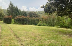 Rionegro, Antioquia, Colombia, Rionegro, Antioquia