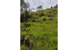 276 Cl. 31, Guatapé, Antioquia 053840