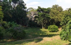 Via Alto Casa del agua ICCE SAS, El Mameyal, Cali, Valle del Cauca,, Cali, Valle del Cauca