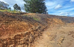 Vereda Ovejas Parcelacion Horabella lote 30, San Vicente de Paul, Medellín, Antioquia, Medellín, Antioquia 54017