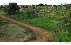 RW73+6C Los Santos, Santander, Colombia, Bucaramanga, Santander