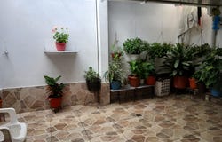 Cl. 38, Palmira, Valle del Cauca 763532