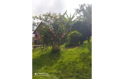 Kilometro 18, antigua Finca Garachine, 76°37 #20 W 3°3056 N, Cali, Valle del Cauca, Colombia, Cali, Valle del Cauca