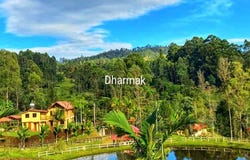 Cl. 7 #16-14, Pacho, Cundinamarca, Colombia, Pacho, Cundinamarca 254001