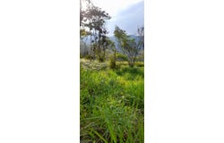 Vía La Reforma, Bella Suiza, Cali, Valle del Cauca, Colombia, Cali, Valle del Cauca 760040