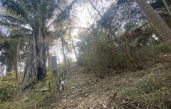 RICAURTE CUNDINAMARCA, Ricaurte, Bogotá, D.C., Bogotá, Bogota, Bogotá