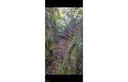Sector Pozo Hondo Rio Frio Oriental Altamira, Tabio, Tabio, Cundinamarca,, Tabio, Cundinamarca