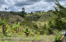 VEREDA LA ENEA, Girardota, Antioquia