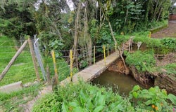 Av. Las Palmas, Vda. El Penasco, Envigado, Antioquia, Colombia, Medellín, Antioquia