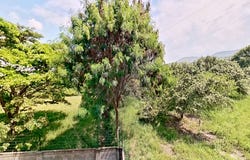 Carrera 19B #19C-68, Br. Las Americas, Yumbo, Arroyo Hondo, Yumbo, Valle del Cauca, Colombia, Yumbo, Valle del Cauca 760507