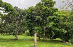 VILLA ESMERALDA unit: 3, Floridablanca, Floridablanca