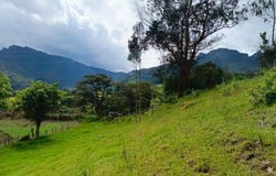 Cl. 7 #16-14, Pacho, Cundinamarca, Colombia, Pacho, Cundinamarca 254001