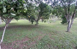 VEREDA EL BARRO GIRARDOTA, Girardota, Antioquia 051038