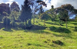Vda. El Salado, Guarne, Antioquia, Colombia, Guarne, Antioquia