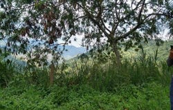Dapa, Yumbo, Valle del Cauca, Colombia, Yumbo, Valle del Cauca 760507