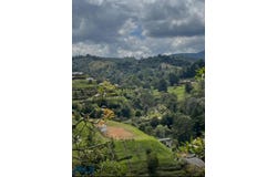 lot: E # 14, El Retiro, El Retiro