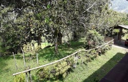 FPGH+FM, Barbosa, Antioquia, Colombia, Barbosa, Santander 684511