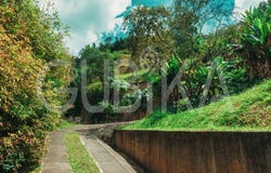 Via a La Fontana, Dapa, Yumbo, Valle del Cauca, Colombia, Cali, Valle del Cauca