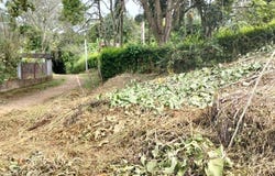 La Esperanza, La Mesa, Cundinamarca, Colombia, La Mesa, Cundinamarca 252607