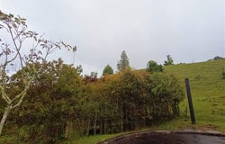 Vereda Pantanillo, Retiro, Antioquia, Colombia, Retiro, Antioquia 055437