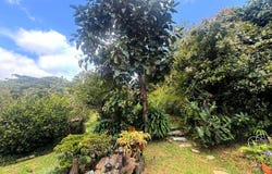PERICO ENVIGADO, Envigado, Antioquia
