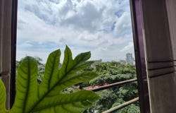 Cl. 18 Nte., Santa Monica Residential, Cali, Valle del Cauca, Colombia, Cali, Valle del Cauca 760046