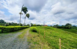 Pereira, Valle del Cauca