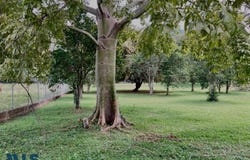 Santa Fe de Antioquia, Antioquía