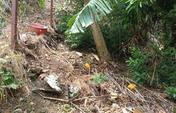 Aguacatal, Terron Colorado, Cali, Valle del Cauca, Colombia, Cali, Valle del Cauca