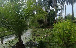 Rincón de las Mercedes, Jamundí, Valle del Cauca, Colombia, Jamundí, Valle del Cauca 764007