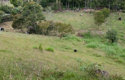 KILÓMETRO 6, La Ceja-Río Negro, El Carmen de Viboral, La Ceja, Antioquia, Colombia, La Ceja, Antioquia