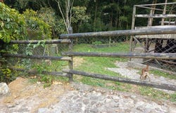 Cra. 27 #35 sur 162, Quebrada Clara, Envigado, Antioquia, Colombia, Envigado, Antioquia