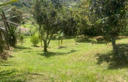vereda santa rita predio 1, Guarne, Guarne, Antioquia, Guarne, Antioquia 53817