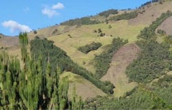 vereda quebradona abejorral, Abejorral, Antioquia 055038