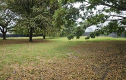 San Antonio, Palmira, Valle del Cauca, Colombia, Palmira, Valle del Cauca 763537