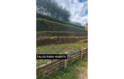 Pereira, Risaralda