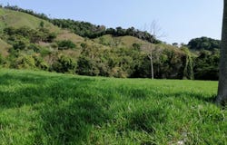 10-51 Cra. 7, Puerto Berrío, Antioquia 053420