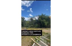 Pereira, Risaralda