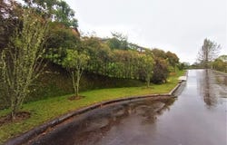 Vereda Pantanillo, Retiro, Antioquia, Colombia, Retiro, Antioquia 055437