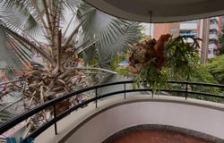 Medellín - Laureles, Antioquía